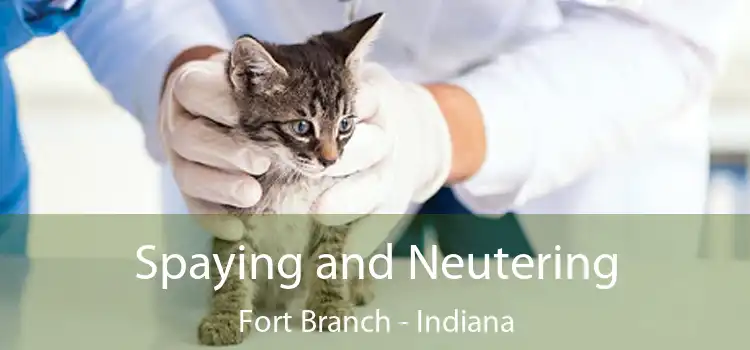 Spaying and Neutering Fort Branch - Indiana
