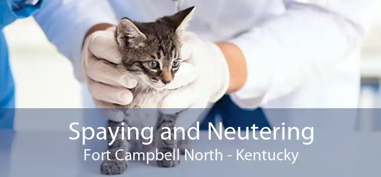 Spaying and Neutering Fort Campbell North - Kentucky