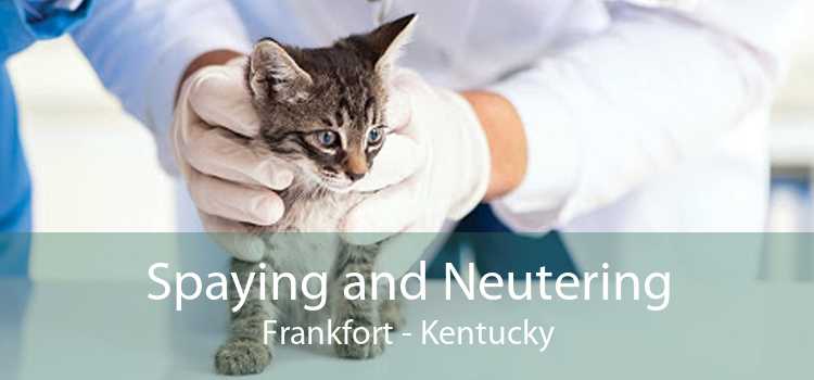 Spaying and Neutering Frankfort - Kentucky