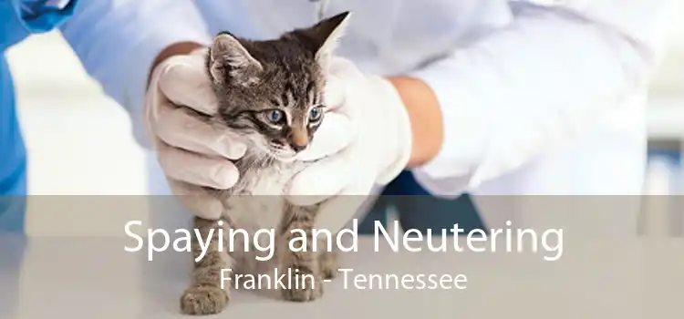 Spaying and Neutering Franklin - Tennessee