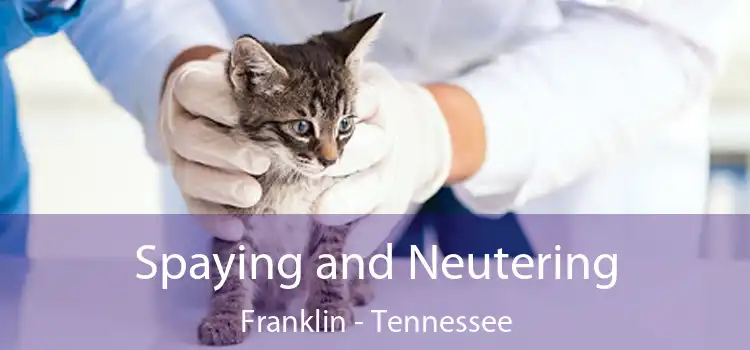 Spaying and Neutering Franklin - Tennessee