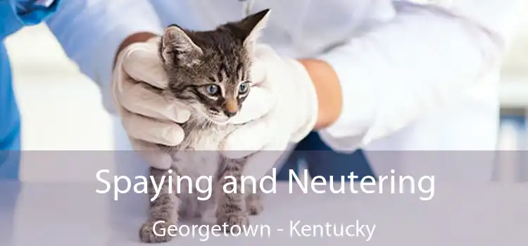 Spaying and Neutering Georgetown - Kentucky