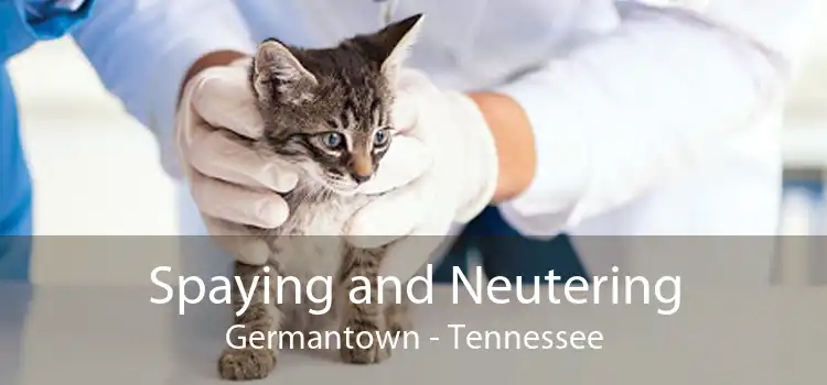 Spaying and Neutering Germantown - Tennessee