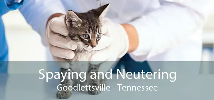 Spaying and Neutering Goodlettsville - Tennessee