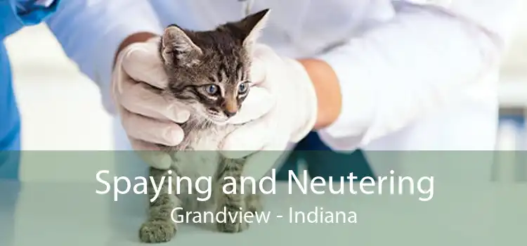 Spaying and Neutering Grandview - Indiana