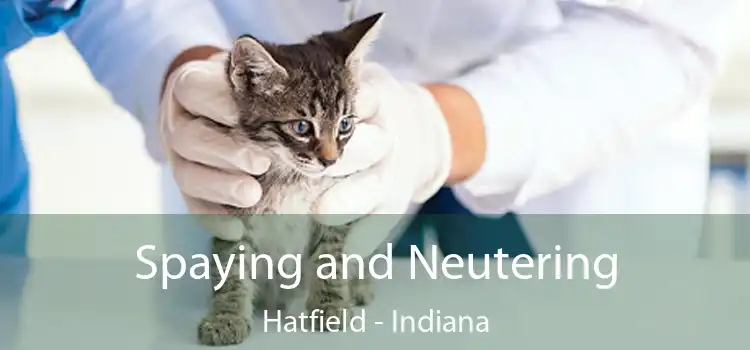 Spaying and Neutering Hatfield - Indiana