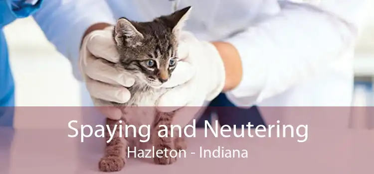 Spaying and Neutering Hazleton - Indiana