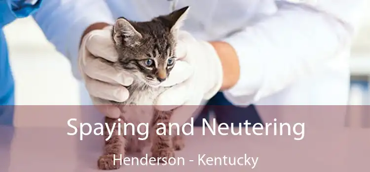 Spaying and Neutering Henderson - Kentucky