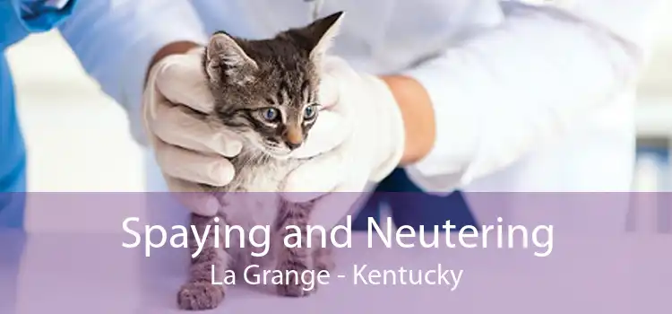 Spaying and Neutering La Grange - Kentucky