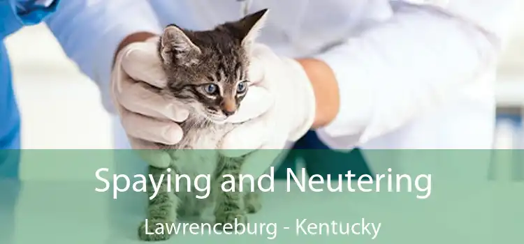 Spaying and Neutering Lawrenceburg - Kentucky