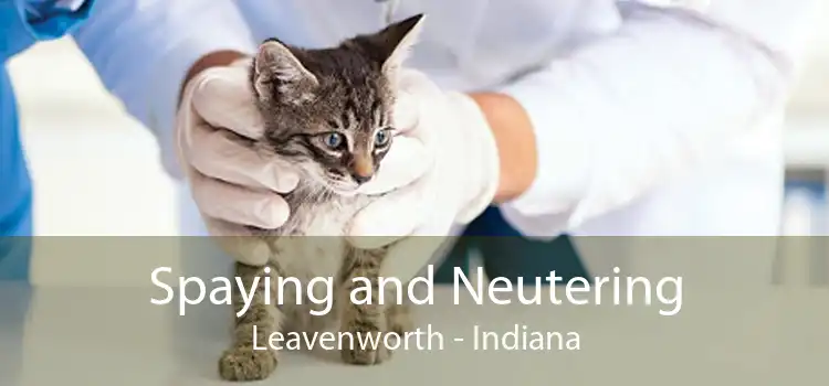 Spaying and Neutering Leavenworth - Indiana