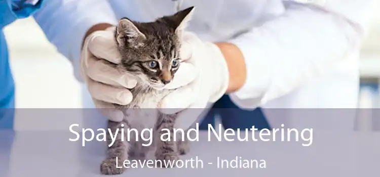 Spaying and Neutering Leavenworth - Indiana