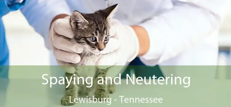 Spaying and Neutering Lewisburg - Tennessee