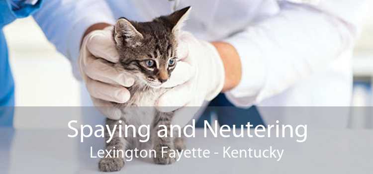 Spaying and Neutering Lexington Fayette - Kentucky