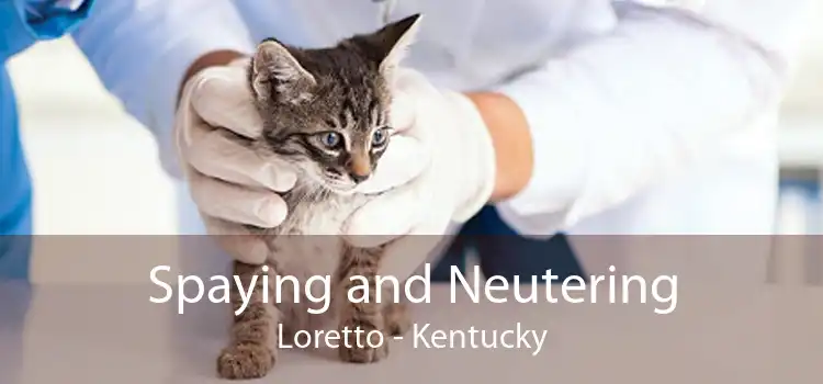 Spaying and Neutering Loretto - Kentucky