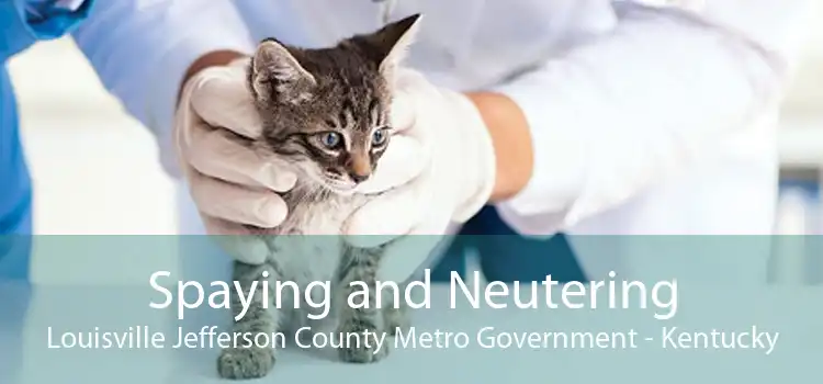 Spaying and Neutering Louisville Jefferson County Metro Government - Kentucky