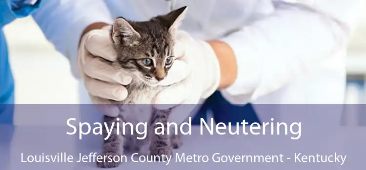 Spaying and Neutering Louisville Jefferson County Metro Government - Kentucky