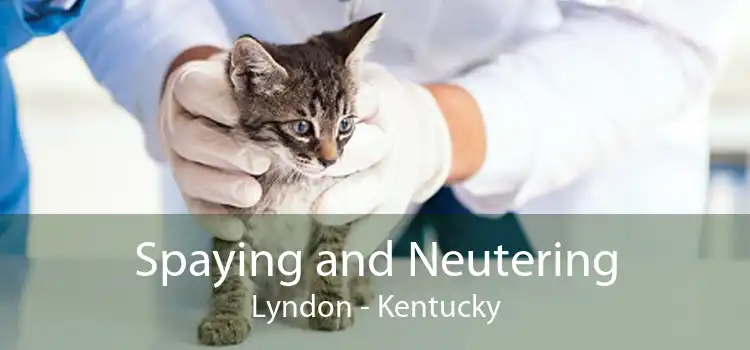 Spaying and Neutering Lyndon - Kentucky