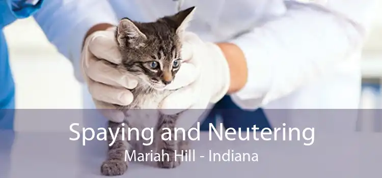 Spaying and Neutering Mariah Hill - Indiana