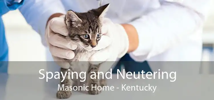 Spaying and Neutering Masonic Home - Kentucky