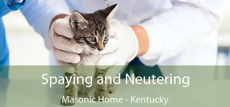 Spaying and Neutering Masonic Home - Kentucky