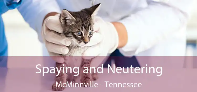 Spaying and Neutering McMinnville - Tennessee