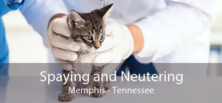 Spaying and Neutering Memphis - Tennessee