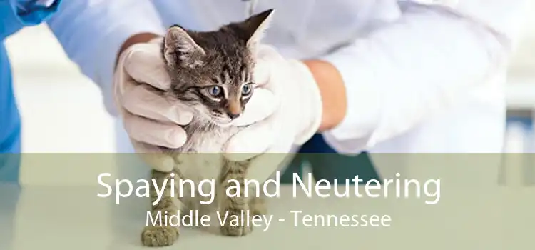 Spaying and Neutering Middle Valley - Tennessee