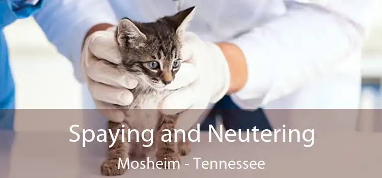 Spaying and Neutering Mosheim - Tennessee