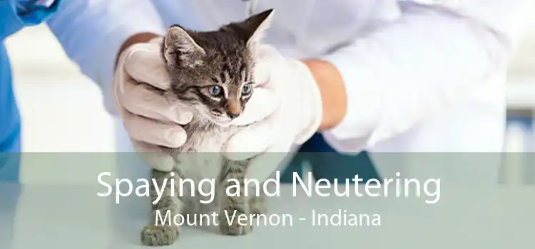 Spaying and Neutering Mount Vernon - Indiana