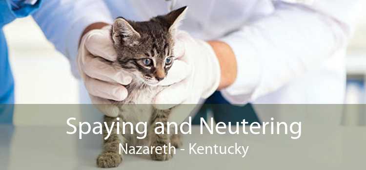 Spaying and Neutering Nazareth - Kentucky