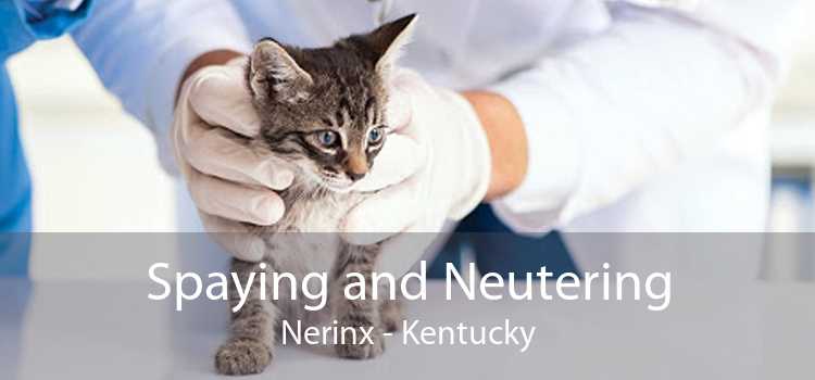 Spaying and Neutering Nerinx - Kentucky