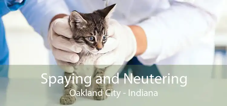 Spaying and Neutering Oakland City - Indiana