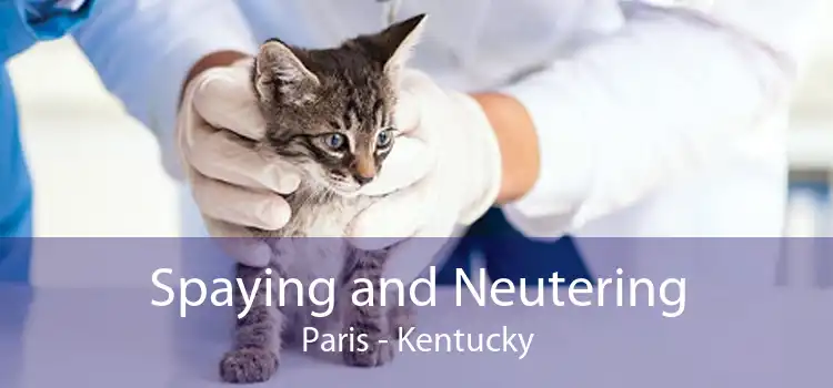 Spaying and Neutering Paris - Kentucky
