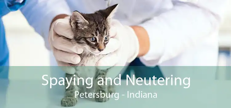 Spaying and Neutering Petersburg - Indiana