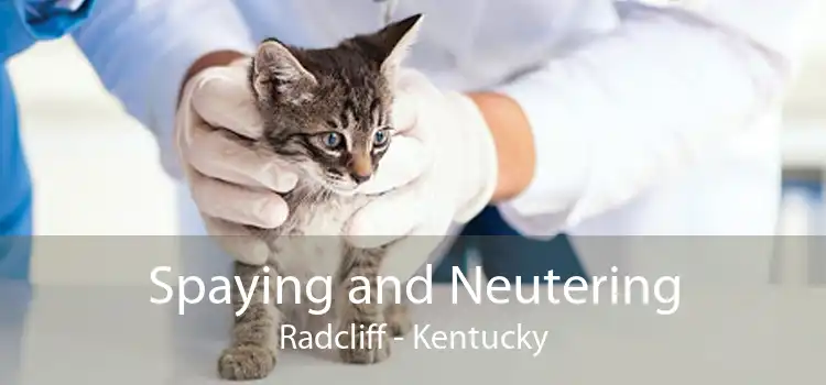 Spaying and Neutering Radcliff - Kentucky