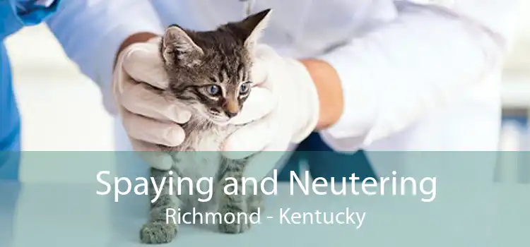 Spaying and Neutering Richmond - Kentucky