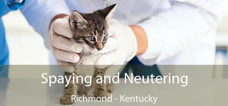 Spaying and Neutering Richmond - Kentucky