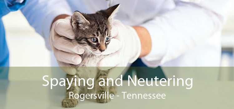 Spaying and Neutering Rogersville - Tennessee