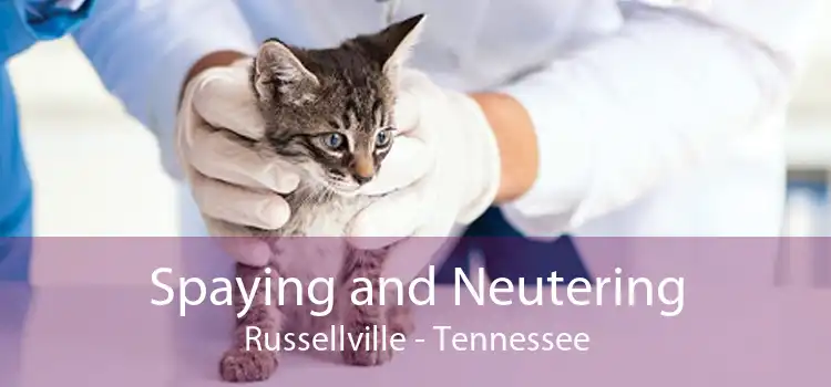 Spaying and Neutering Russellville - Tennessee