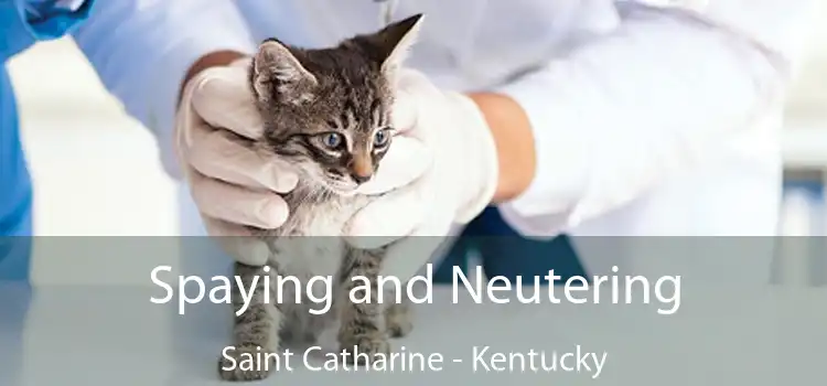 Spaying and Neutering Saint Catharine - Kentucky