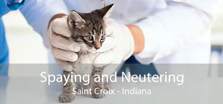 Spaying and Neutering Saint Croix - Indiana