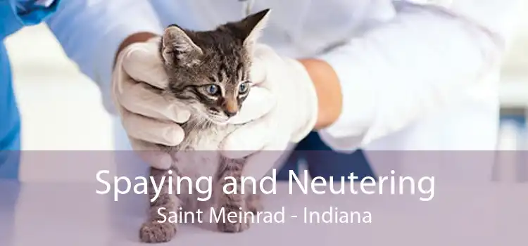 Spaying and Neutering Saint Meinrad - Indiana