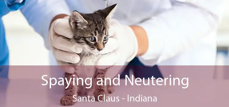Spaying and Neutering Santa Claus - Indiana