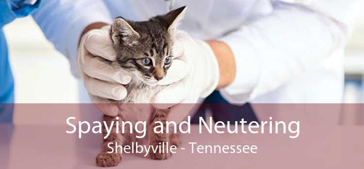 Spaying and Neutering Shelbyville - Tennessee
