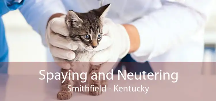 Spaying and Neutering Smithfield - Kentucky