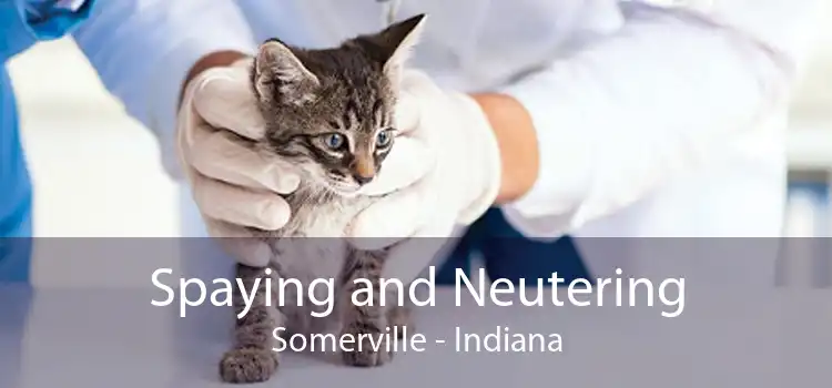 Spaying and Neutering Somerville - Indiana