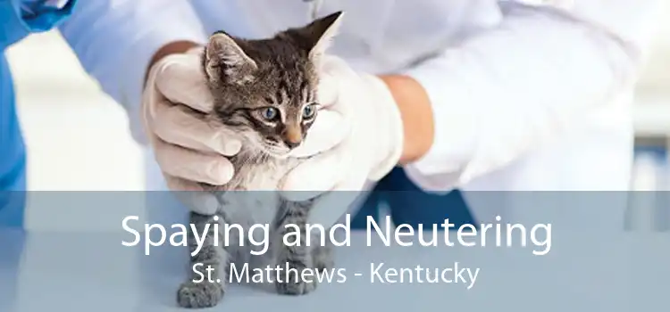 Spaying and Neutering St. Matthews - Kentucky