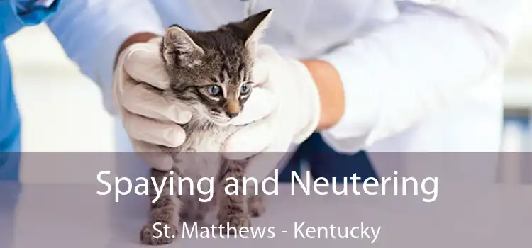 Spaying and Neutering St. Matthews - Kentucky