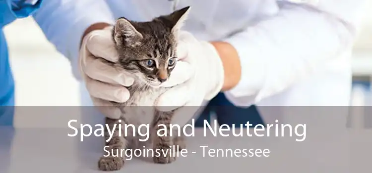 Spaying and Neutering Surgoinsville - Tennessee
